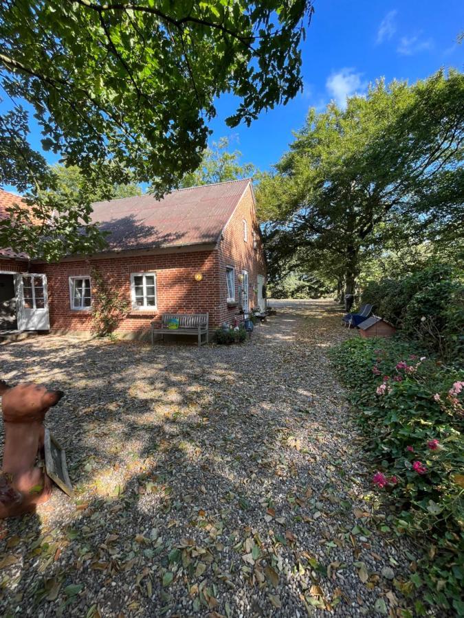 Familiehuis Boysen Bed&Breakfast Ribe Exterior photo